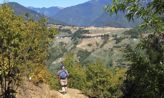李利國》宅家臥遊悟人生！照片來源：作者提供。
