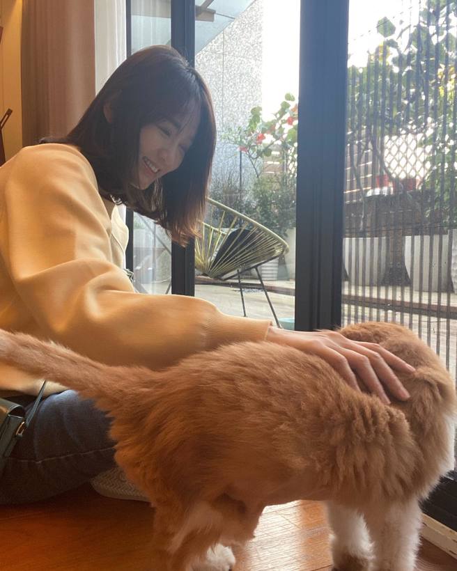 陈乔恩的猫咪Yoda生病，目前她才带去看医生，后来身体有稳定一些。(图/陈乔恩 IG)