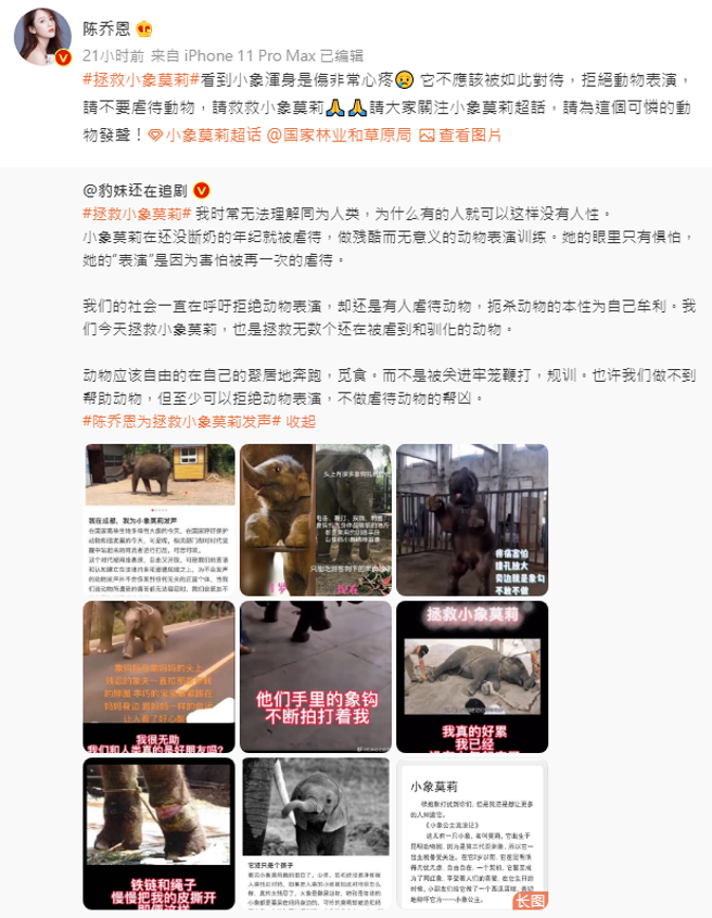 陈乔恩微博发文，为小象莫莉发声，获得广泛回响。(图/陈乔恩 微博)