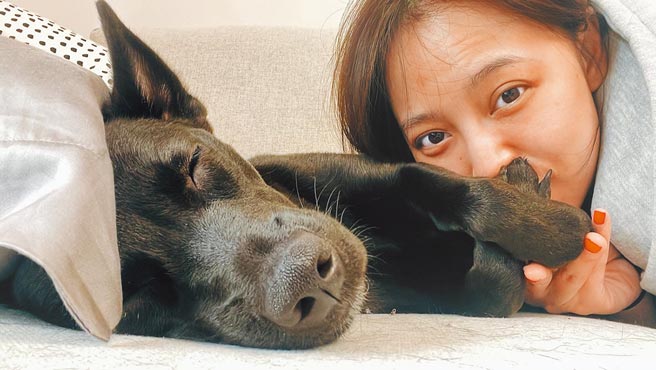 勇兔心疼狗女儿因为居家隔离无法外出散步。（勇兔提供）