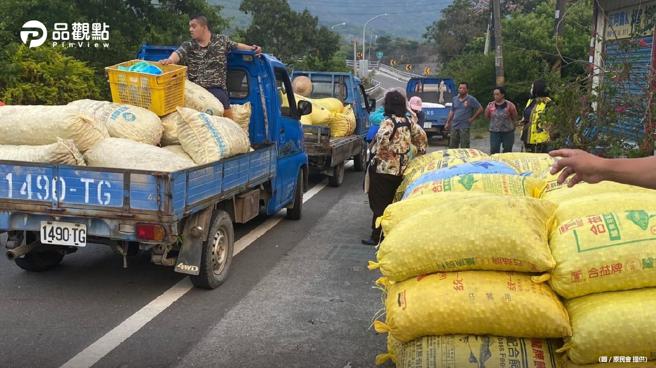 品觀點│青梅受疫情影響銷量不如以往   原民會辦活動助梅農提高銷售與價格│高雄（圖/品觀點提供）