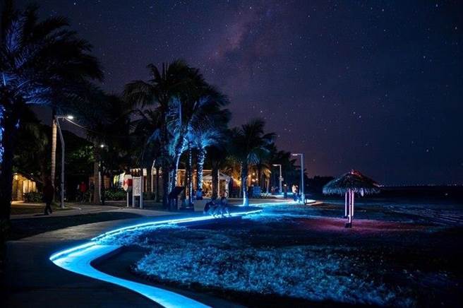 旗津景观步道蓝眼泪。（柯宗纬翻摄）