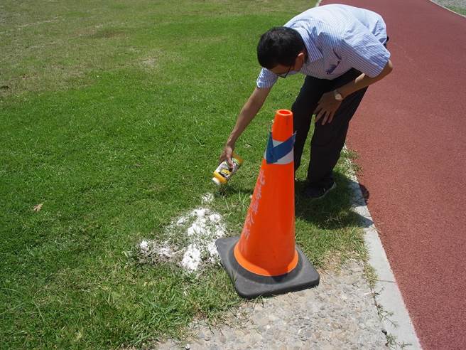 民眾PO文云林县北港运动公园出现红火蚁，北港镇公所表示是一般红蚂蚁已加强防治。（张朝欣摄）