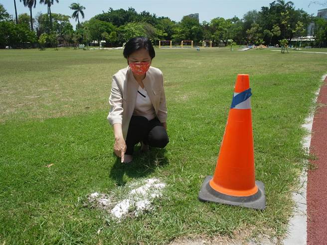 民眾PO文云林县北港运动公园出现红火蚁，北港镇公所表示是一般红蚂蚁已加强防治。（张朝欣摄）