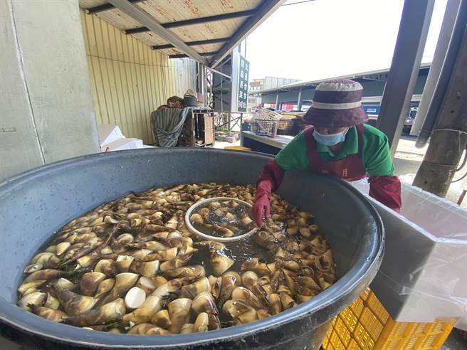 台南關廟綠竹筍今年產期延遲1個半月，量雖少卻遇上疫情衝擊買氣，近日北部拍賣價格只有往年的一半。（曹婷婷攝）