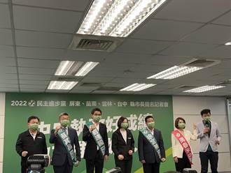 林佳龍表態台北市長初選該辭選對會？ 林錫耀：沒必要