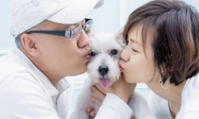 蔺奕》疫情的一百万种焦虑和等待的春天。(图/爱传媒提供)