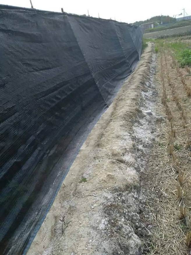 彰化县花坛乡彰花路附近地段盐化，农作枯死。（柯金德提供／吴敏菁彰化传真）