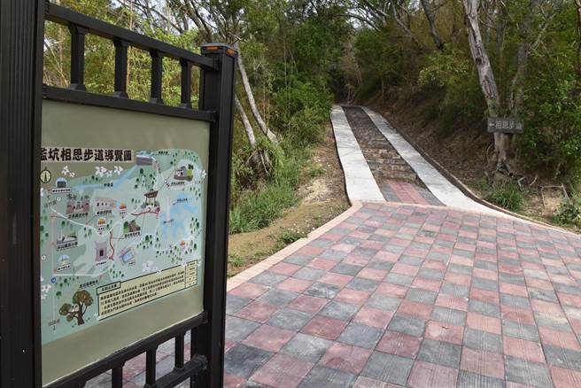 头份市公所欢迎民眾到相思步道等5大步道赏桐健行，有机会获得礼。（谢明俊摄）