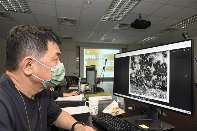 全球新冠肺炎疫情肆虐之际，国美馆「中华民国国际版画双年展」，仍获来自79国1011人参赛，初审首次採「线上审查」。（国美馆提供／陈淑芬台中传真）