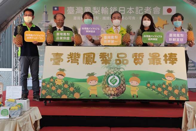 台湾凤梨获日本青睐，首度进入校园成为营养午餐水果。(农粮署提供)