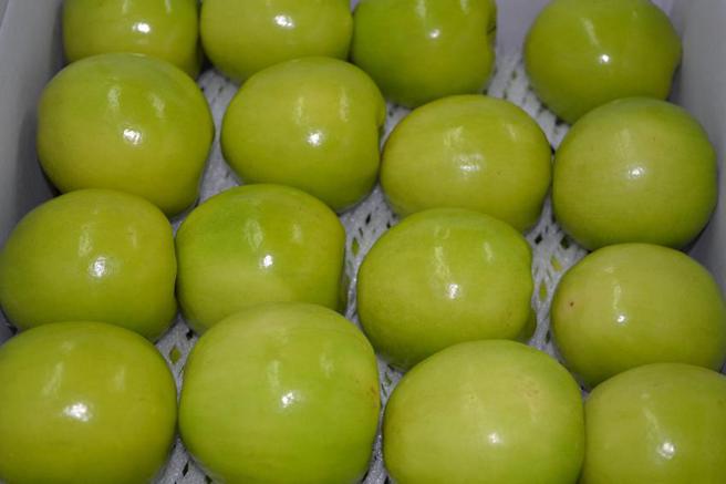 （有機肥可讓果實飽滿。圖／高雄場提供）