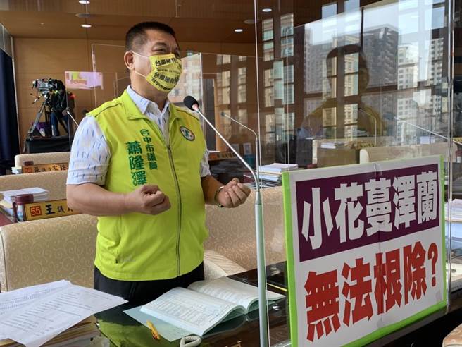 台中市议员萧隆泽说，小花蔓泽兰要根除相当困难，因地方政府根本不积极。(林欣仪摄)