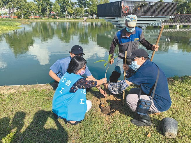 台中市中央公园幅员广阔，绿树成荫、绿草如茵，近日还借重科博馆人员的专业，大规模在公园内广植绿色植栽，有意打造三大特色植栽区，作为育种基地和环境教育场域。（建设局提供／谢琼云台中传真）