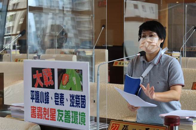 台中市議員張玉嬿29日建議台中市採取無人機噴灑皂素、導入蟲生真菌淡紫菌等生物防治，友善環境。（謝瓊雲攝）