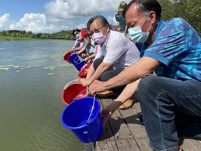 台東縣池上鄉公所與花蓮縣水產培育所29日攜手合作在大坡池生態教育區舉辦幼魚放養活動。（蔡旻妤攝）