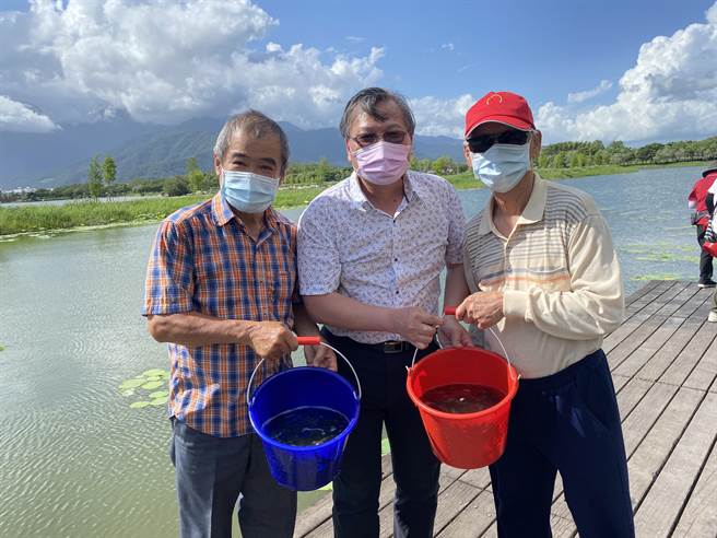 台東縣池上鄉公所與花蓮縣水產培育所29日攜手合作在大坡池生態教育區舉辦幼魚放養活動。（蔡旻妤攝）