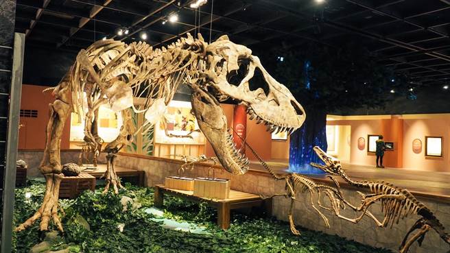 科博馆推出「那一刻－琥珀的记忆」特展，展示琥珀标本、艺术创作，还有6件台湾珍稀琥珀标本，并展出多件大型恐龙骨骼标本。（科博馆提供／陈淑芬台中传真）