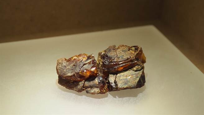 由台南东山出土台湾首次、唯一内有生物包埋的琥珀标本。（科博馆提供／陈淑芬台中传真）