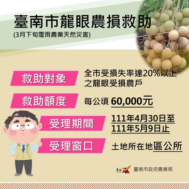 南市龍眼災損救助每公頃6萬元，4月30日起開放申請。(台南市府提供／劉秀芬台南傳真)