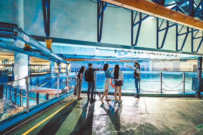 屏东海生馆祭出各式活动优惠抢攻成人市场。（谢佳潾摄）