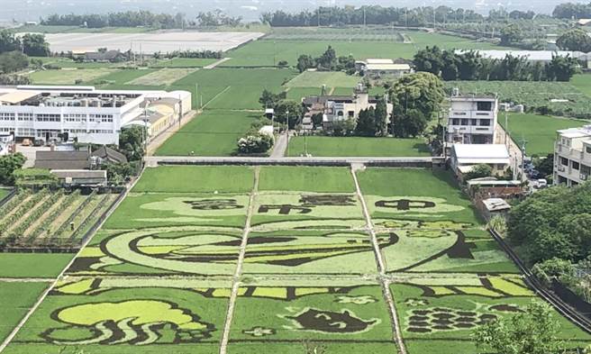 外埔区水流东休閒农业区，设置「富市台中•漫游水流东」彩绘稻田达1.3公顷，景致如诗如画。（台中市政府提供／陈世宗台中传真）