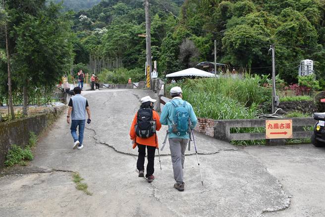 狮潭乡通往头屋乡的鸣凤古道桐花盛开，吸引许多游客健行。（谢明俊摄）