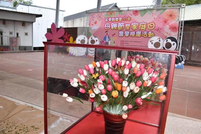 苗栗县农会30日举办母亲节手作蚕茧花活动。（谢明俊摄）