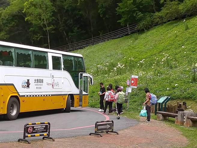 太鲁阁布洛湾台地有吊桥启用加入后，参访人次居高不下，搭乘公车需求高。（花莲县府提供／王志伟花莲传真）