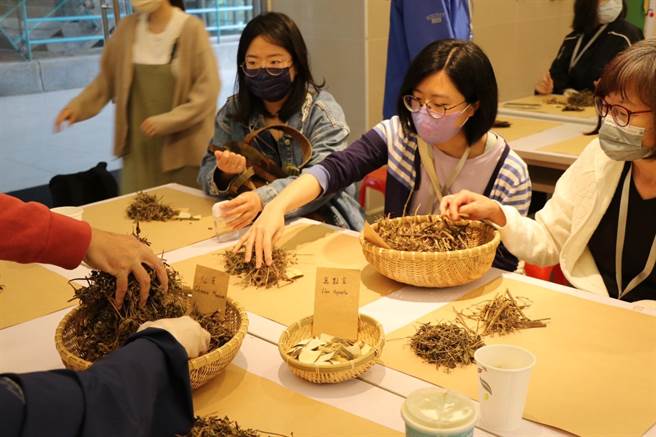 民眾体验亲自抓青草茶配料。（蔡明亘摄）
