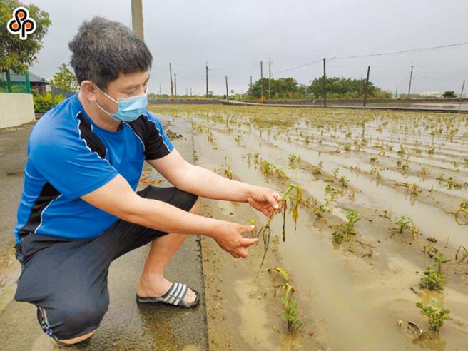 农委会副主委陈骏季昨宣布，考量近期物价及参酌各产业生产成本，拟调整192项农业天然灾害现金救助额度，平均调整幅度逾2成。（本报资料照片）
