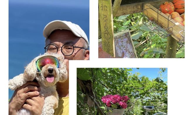 蔺奕》浓香型的臺湾 花东