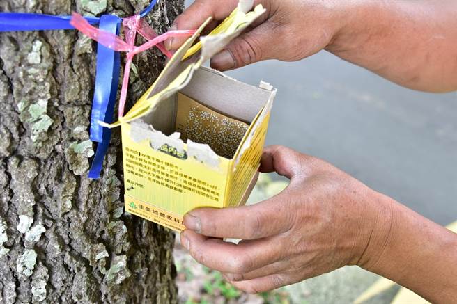 观旅局请游客不要移动或碰触挂在树旁的卵卡。（台中市观旅局提供／陈淑娥台中传真）