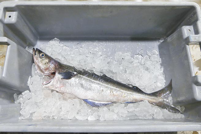 俄国海鲜绕道输美图╱美联社