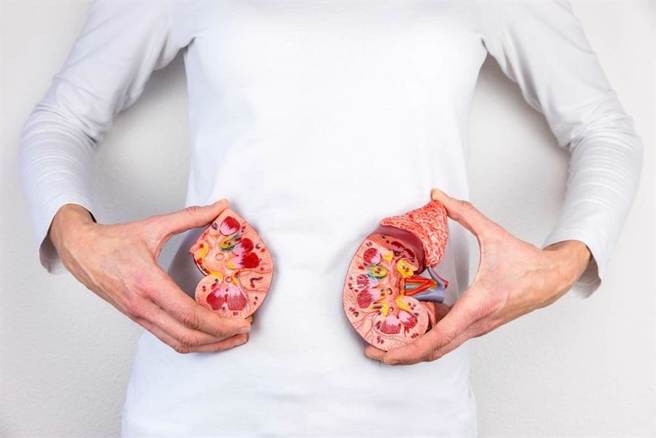 糖尿病不控制难逃洗肾！远离肾病变有6大关键。(示意图/Shutterstock)