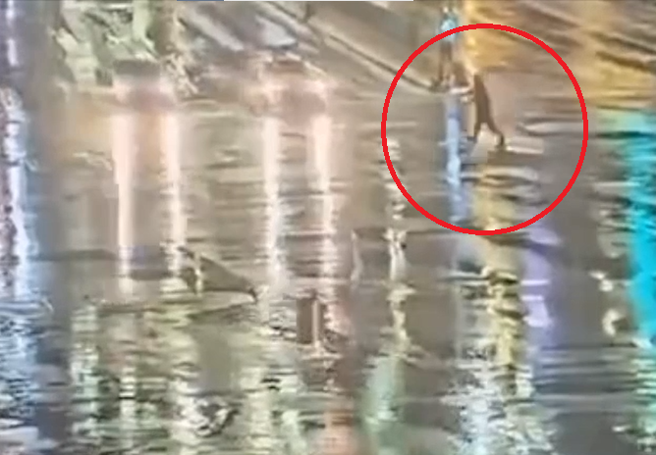 庄姓男子2日凌晨走在忠孝西路的斑马线上，遭到4车接连撞击后身亡。（翻摄画面）