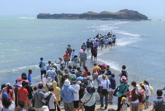 一到夏天，就有大量觀光客湧入澎湖，許多老饕更指名要品嘗當地特產海膽，導致海膽面臨生態浩劫。（圖／報系資料照）