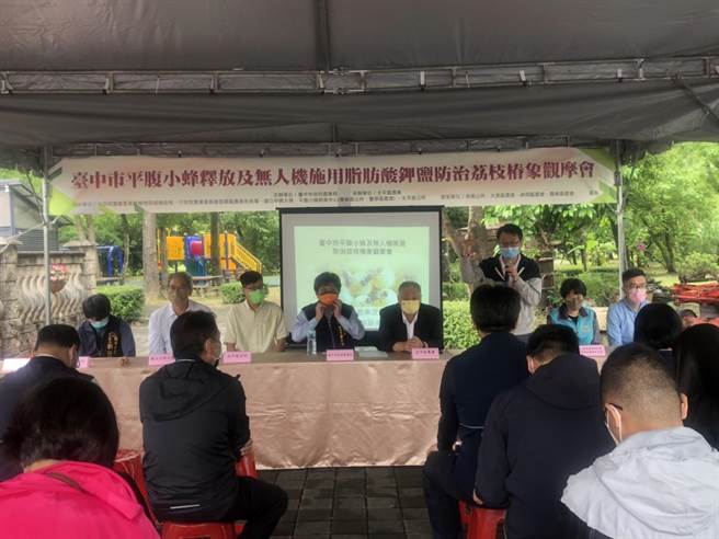 台中市太平區3日舉辦釋放平腹小蜂及無人機施用脂肪酸鉀鹽示範觀摩，多管齊下防治荔枝椿象。（太平區公所提供／盧金足台中傳真）