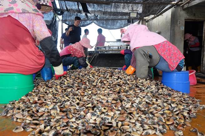 云林离岛工业区台西产业园区定位「智慧绿色渔业」，云林县政府着手推动。（本报资料照片）