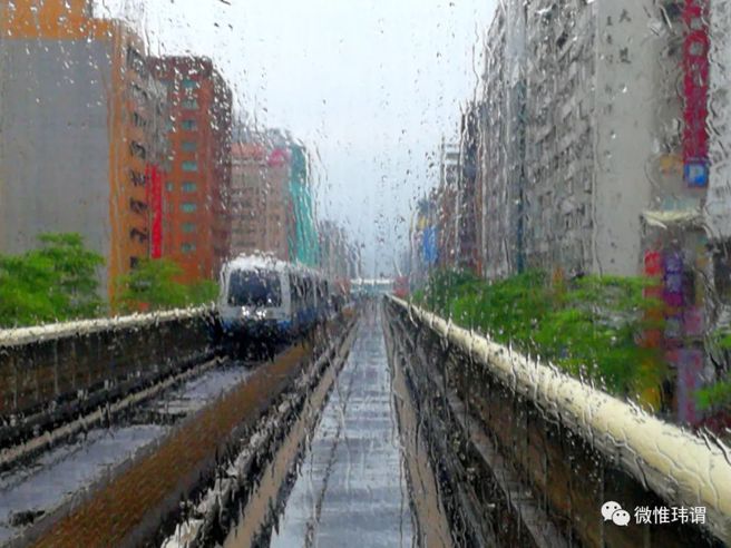 冬季到台北来看雨。（作者提供）