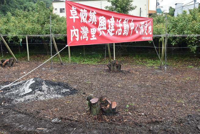 卓兰镇内湾社区活动中心新建预定地原种有老杨桃树业已砍除。（谢明俊摄）