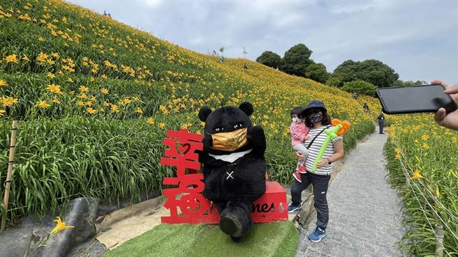 彰化花壇虎山巖山坡近6公頃、3萬株金針花盛放。（參山國家風景管理處提供／吳敏菁彰化傳真）