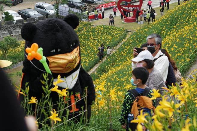 彰化花壇虎山巖山坡近6公頃、3萬株金針花盛放，交通部觀光局喔熊組長4日到虎山巖賞金針花，與熊粉一起打卡拍照，讓遊客的驚喜交加。（吳敏菁攝）