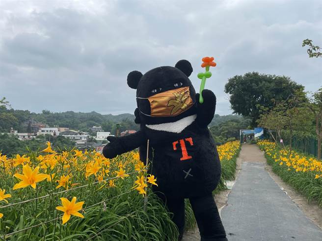 彰化花壇虎山巖山坡近6公頃、3萬株金針花盛放，交通部觀光局喔熊組長4日到虎山巖賞金針花，與熊粉一起打卡拍照，讓遊客的驚喜交加。（吳敏菁攝）