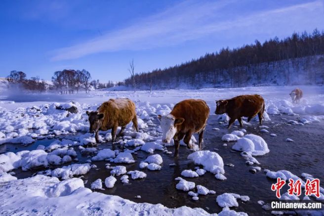 图为阿尔山不冻河。（中新社）