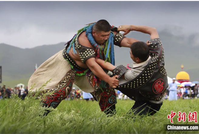 图为搏克比赛。（中新社）