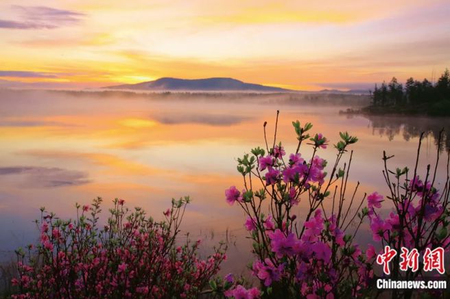 图为杜鹃湖。（中新社）