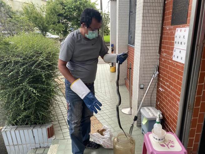 妇人拿着装有眼镜蛇的布袋进派出所要报案，拜托员警协助处理，经连繫农委会派员到派出所处理，才发现具有毒性的眼镜蛇。（雾峰警分局提供）