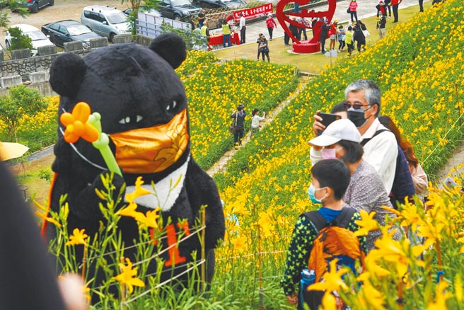 交通部觀光局喔熊組長4日到彰化縣花壇鄉虎山巖賞金針花，並與熊粉一起打卡拍照，遊客感到驚喜。（吳敏菁攝）