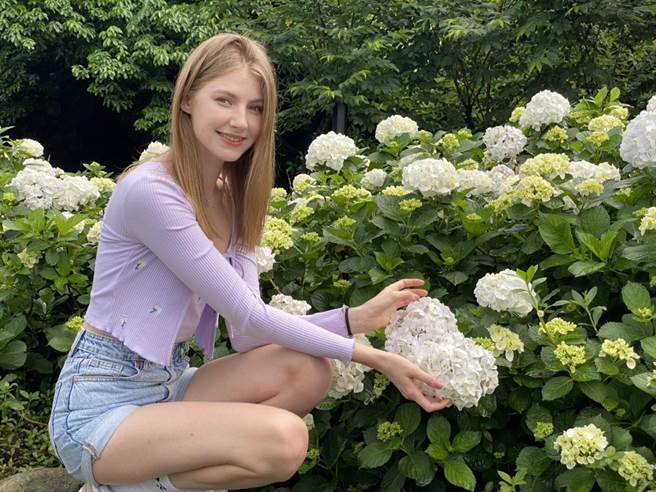 萬里繡球花季花況勝往年女模 網紅同場爭豔 寶島 中時